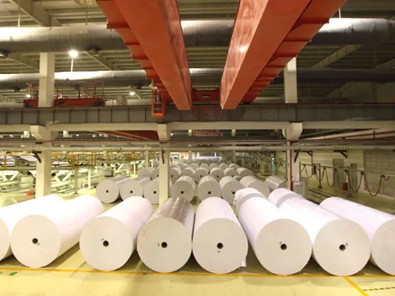 Reliable Wet Strength Greaseproof Paper Wholesaler 4