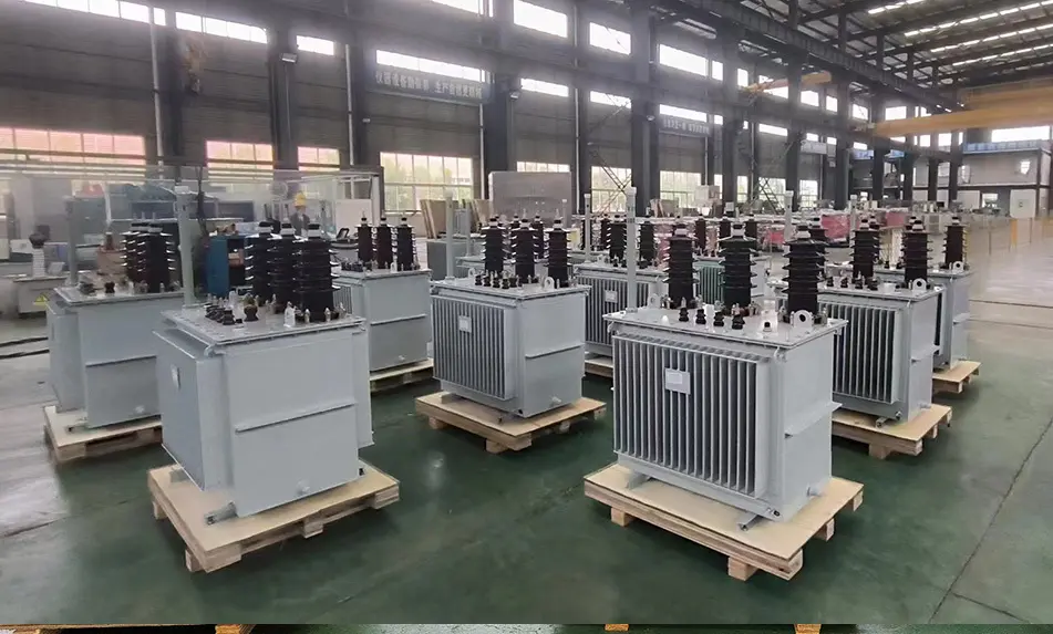Oil Immersed Type Transformer S11 by SHZHEL 3