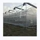 Cheap Plastic Film Greenhouse Commercial Greenhouse Multi Span Greenhouse Wholesale - Sainpoly 2