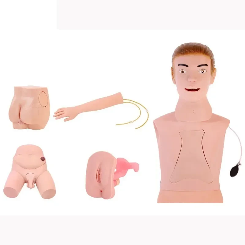 Hospital Nursing Anatomical Mannequins Human Body Anatomy Model | INNORKOM 1
