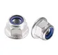 Metric Flange Nuts China by Lewei Hardware 2
