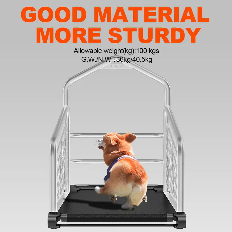 Ciapo Best Value Treadmill 1410*765*155mm Best Value Treadmill Supplier 3