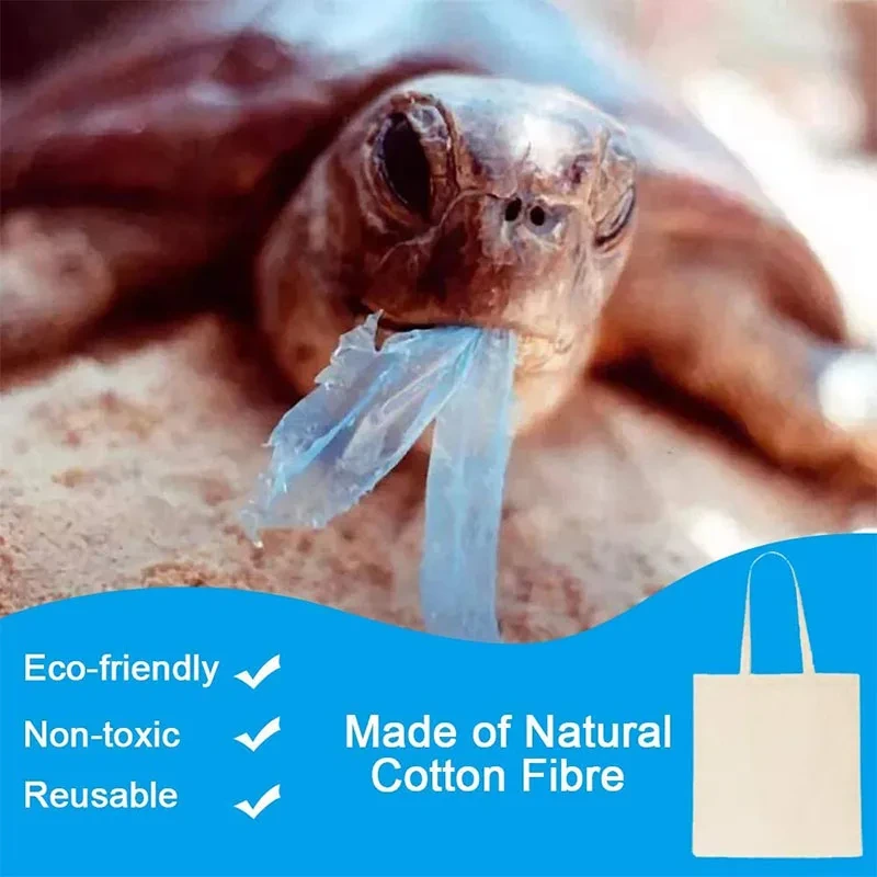 Bulk Buy Shopping Bags Accept Custom Sample Eco-friendlySupply 7