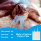 Bulk Buy Shopping Bags Accept Custom Sample Eco-friendlySupply 7