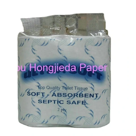 Tissue Rolls - Premium Soft 2-Ply, Bulk Pack, High Absorbency 1