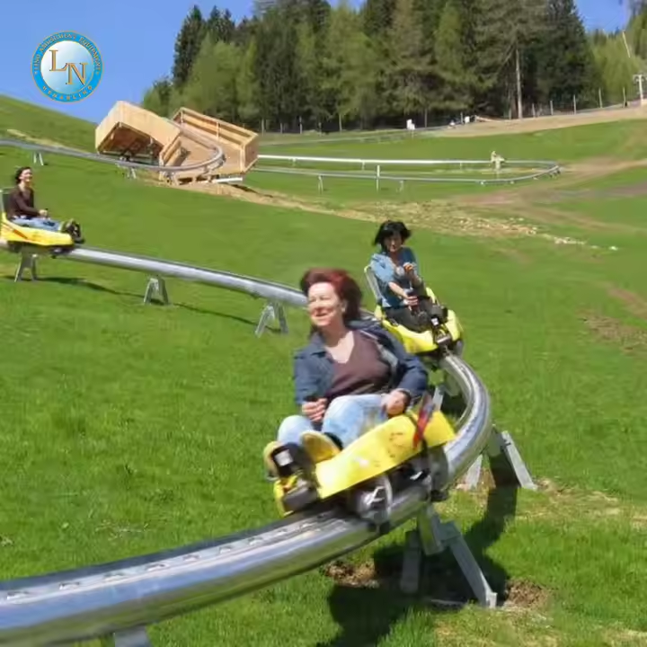 Горные горки Alpine Mountain Coaster Ride | Захватывающий аттракцион Ridge Runner для парков приключений & Батутные парки | Прочный металл | LINO 3