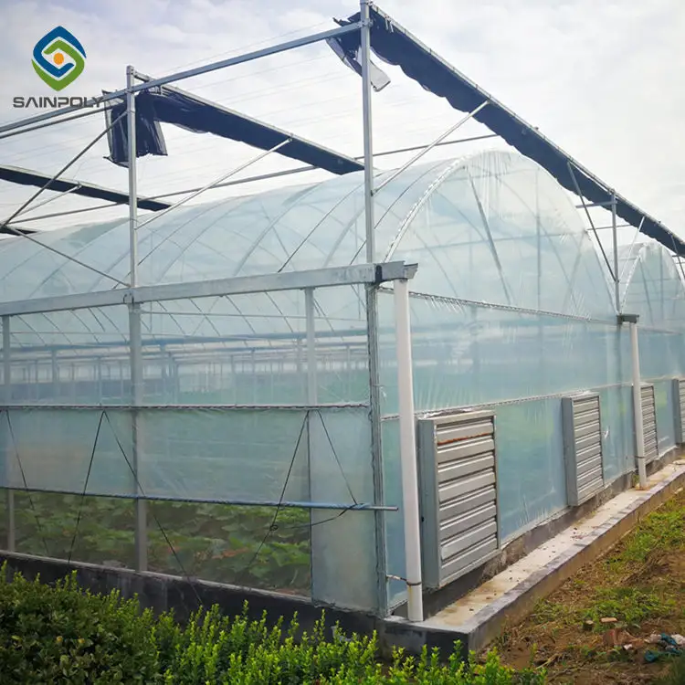 Agriculture Film Greenhouse Wholesale Film Greenhouse Wholesale - Sainpoly 4