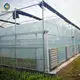 Agriculture Film Greenhouse Wholesale Film Greenhouse Wholesale - Sainpoly 4