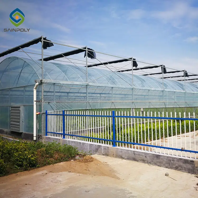 Agriculture Film Greenhouse Wholesale Film Greenhouse Wholesale - Sainpoly 5