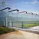 Agriculture Film Greenhouse Wholesale Film Greenhouse Wholesale - Sainpoly 5