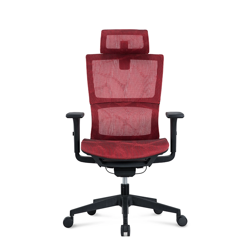 Modern Comfort CEO Office Chair with Luxury Mesh Swivel | LS Furniture 1