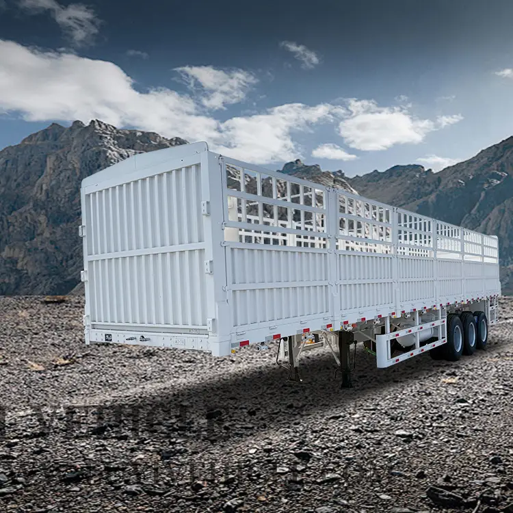 3-ASSLE 60 طن نصف الجدار نصف المقطورة | لوي 1