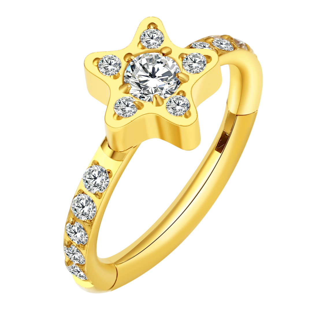 Fashionable Astm F136 Titanium Body Jewelry Cubic Zircon Star Eternal Mental Nose <000000> Earring Piercing Ring Segment For Gift 6