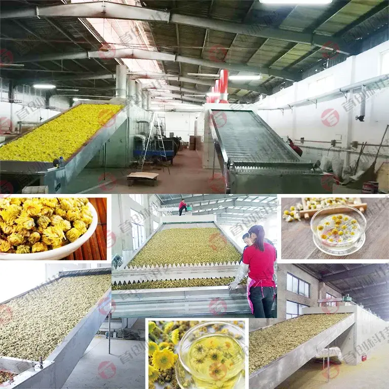 Cardamom Dryer Machine None - - ShouChuang 7