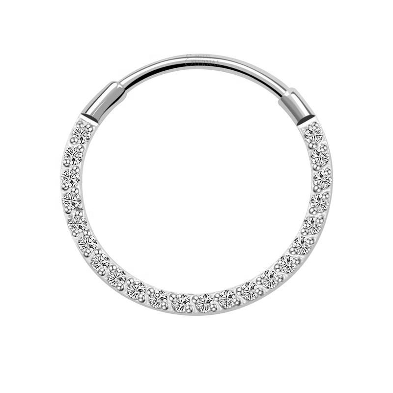 Eternal Metal 20g 0.8mm Astm F136 Titanium Cnc Setting Hinged Segment Ring Piercing Jewelry 1