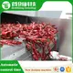 Cardamom Dryer Machine None - - ShouChuang 4