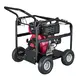 Worldwide Gasoline Garden Tools with Good Price for Garden 3