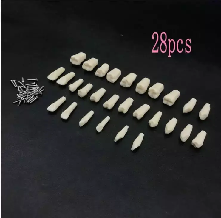 Dental Instruments Suppliers Turbine - - DINUO 7