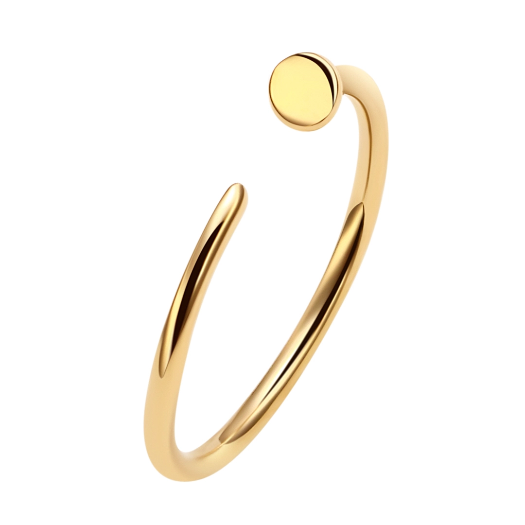 Eternal Astm F136 Titanium Nose Ring G23 Titanium Piercing 1