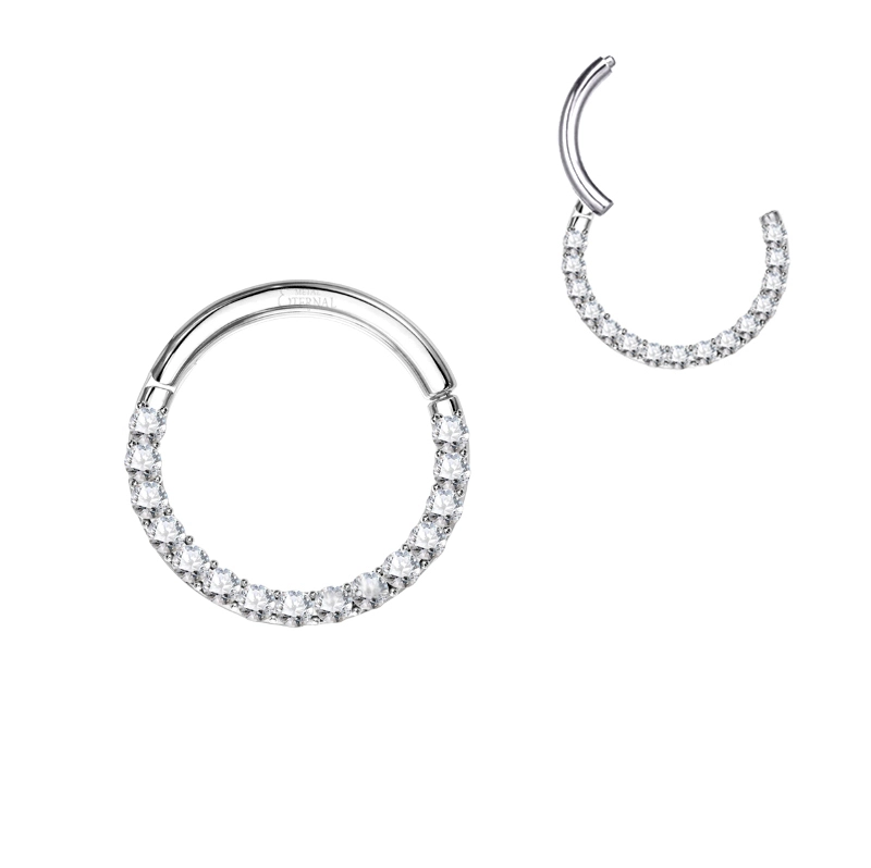 Eternal Metal 18g 1.0mm 16g 1.2mm Astm F136 Titanium Hinged Segment Hoop Rings With Cnc Set Double Lined Cz Body Jewelry 1