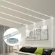 GO OCEAN Led Strip Lamp Framing & Door & Window & Glass Wall Led Strip Lamporder Now 6