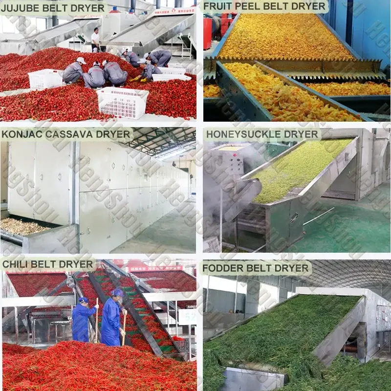 Creative Vegetable Dryer Machine Price Price List 7
