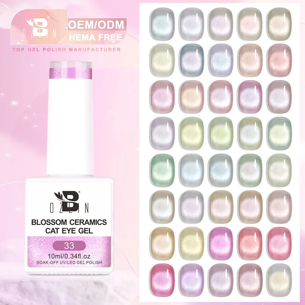 Bozlin 40 Colors Hema-Free Magnetic Cat Eye Gel Nail Polish Wholesale 1