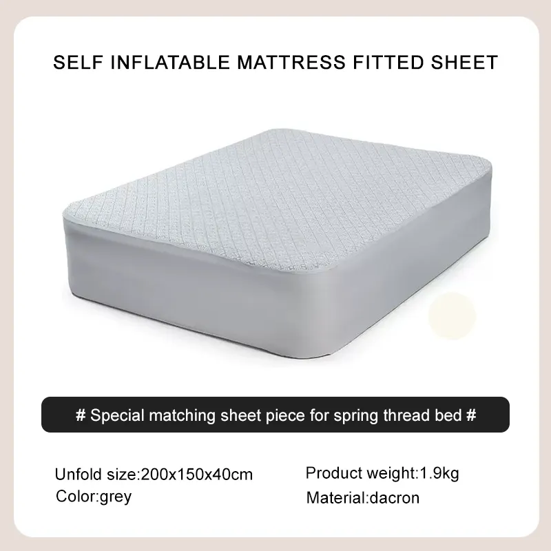 Custom Minivan Air Mattress 5