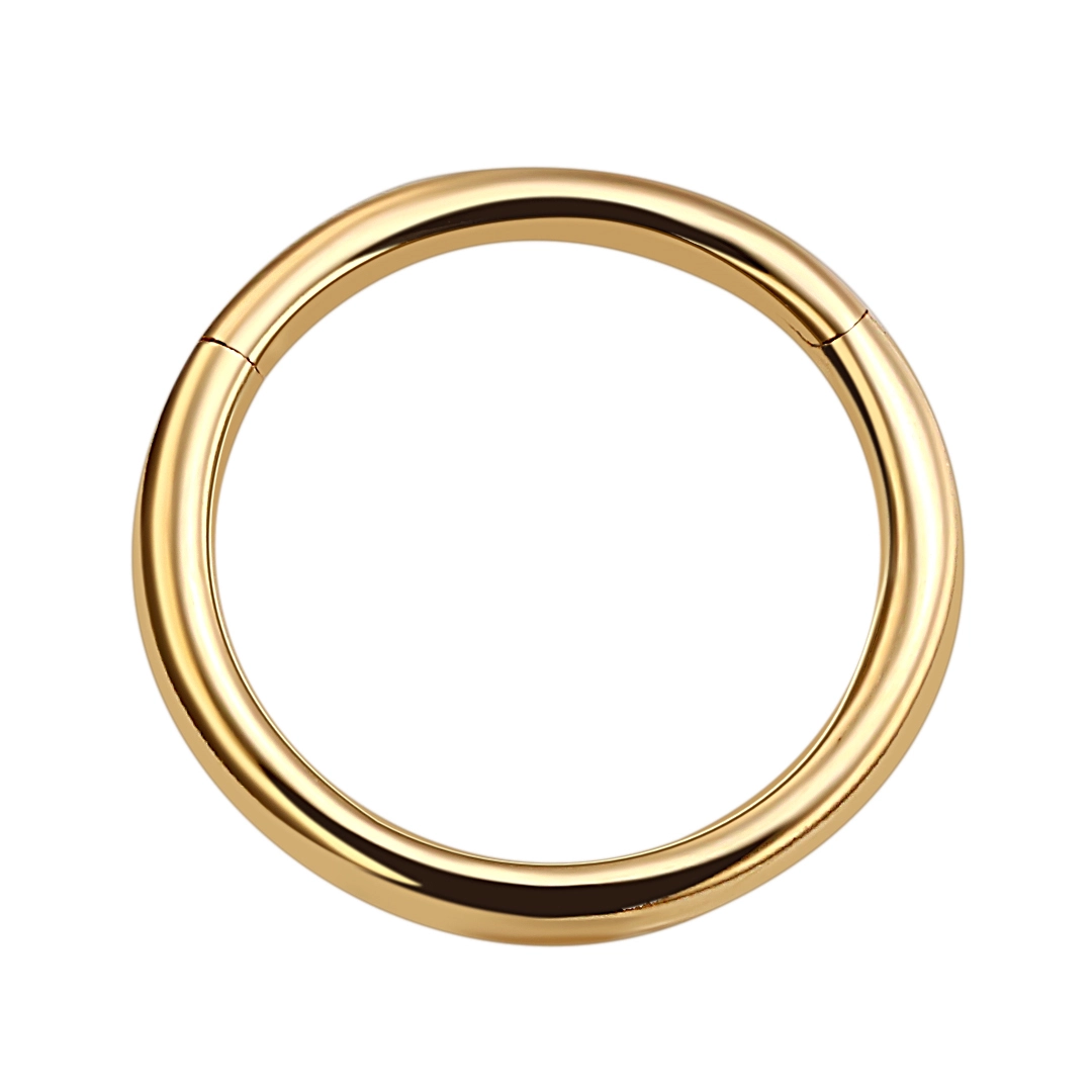 Eternal Metal 14k Solid Gold 18 Gauge Hinged Segment Ring Septum Nose  Earring Piercing Jewelry 1