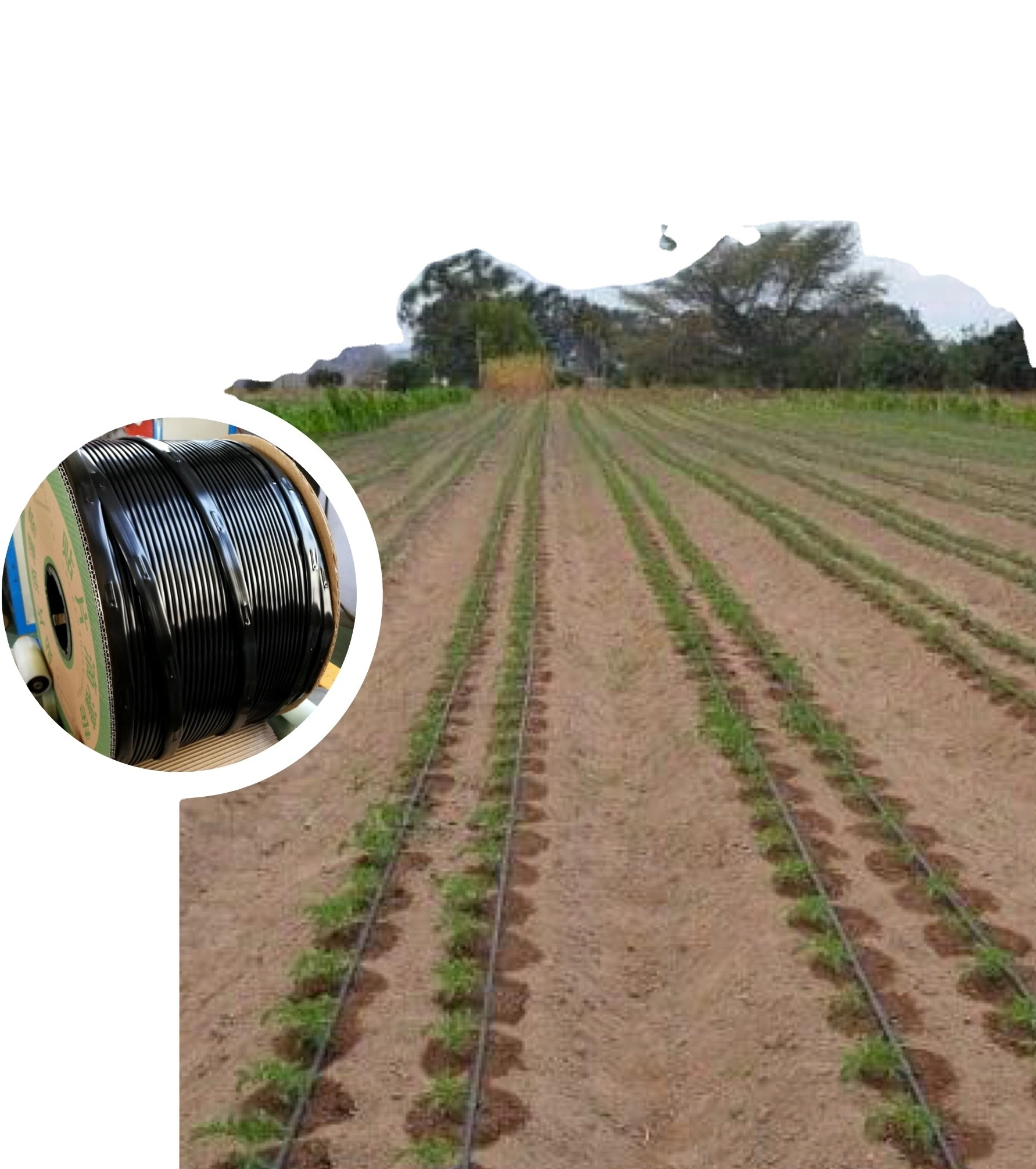 HYRT PE Drip Irrigation Tape 16in for Drip System 1