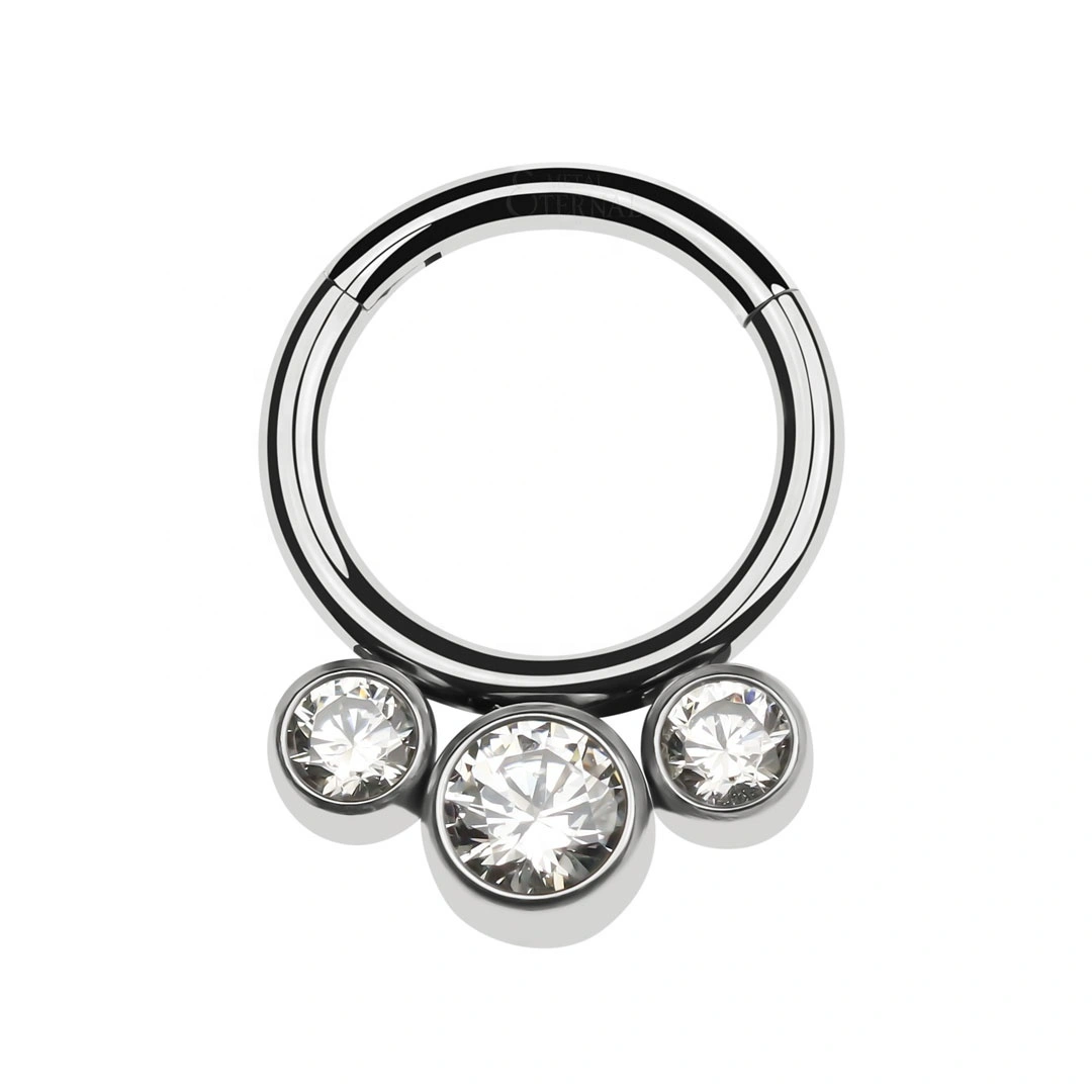 Eternal Metal Astm F136 Titanium Bezel Round Cz Hinged Segment Clicker Wholesale Piercing Jewelry 1