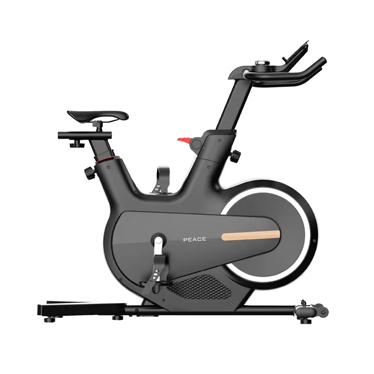 スピニング自転車ホームマグネティックコントロールインテリジェントエクササイズフィットネス機器屋内ペダル自転車販売 1