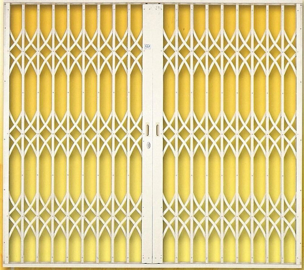 Steel Burglar Proof Retractable Security Grilles 1