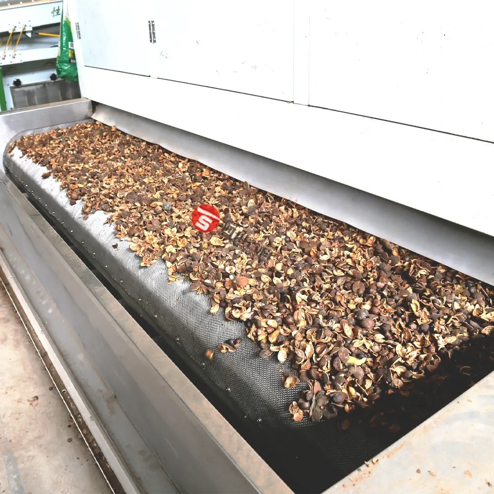 Choosing the Right Almond Dryer for Your Needs 1