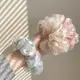 Wholesale Comb Women Girl Lady - - Dowell 3