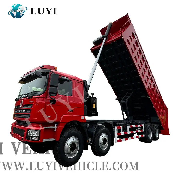 Shacman F3000 Dumper 8x4 10 ruedas Transporte minero/Tipper 1