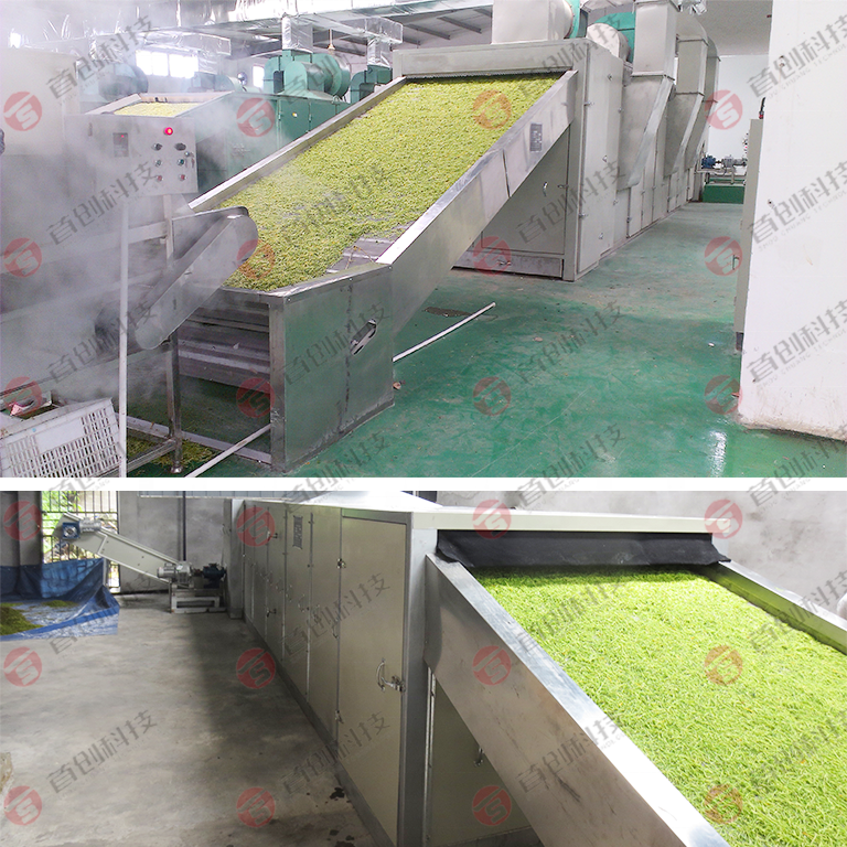 Mesin Pengering Sayur - Makanan Kering Terus Menerus Kacang Polong Wortel Kangkung Jamur Labu Pengeringan 3