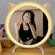 Oem & Odm Lighted Travel Make Up Mirror 6