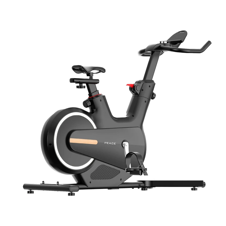 固定自転車の家の磁気制御ミュートインテリジェントエクササイズとフィットネス機器屋内ペダル自転車 1