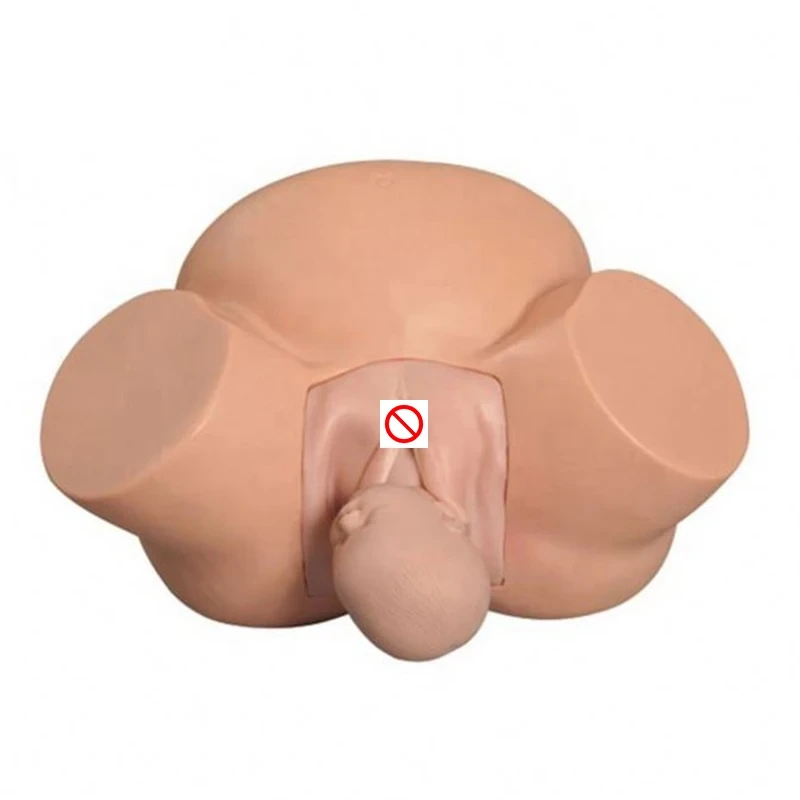 Modelo de parto anatómico humano de PVC, maniquí simulador de parto para partería, distonía | INNORKOM 1
