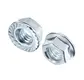 New Wholesale Nuts Supply 6