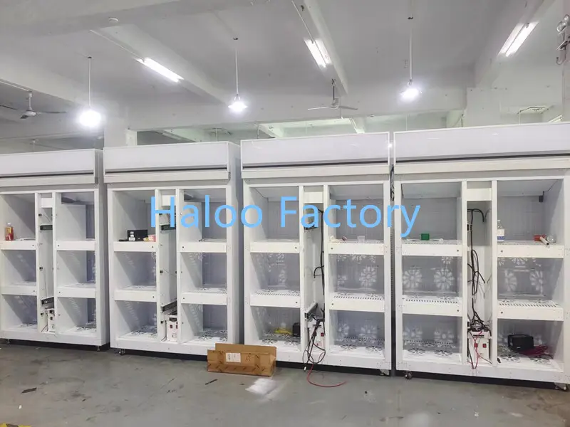 VENDING MACHINE Flower Vending Machine Price for Hotel Manufacturing 6