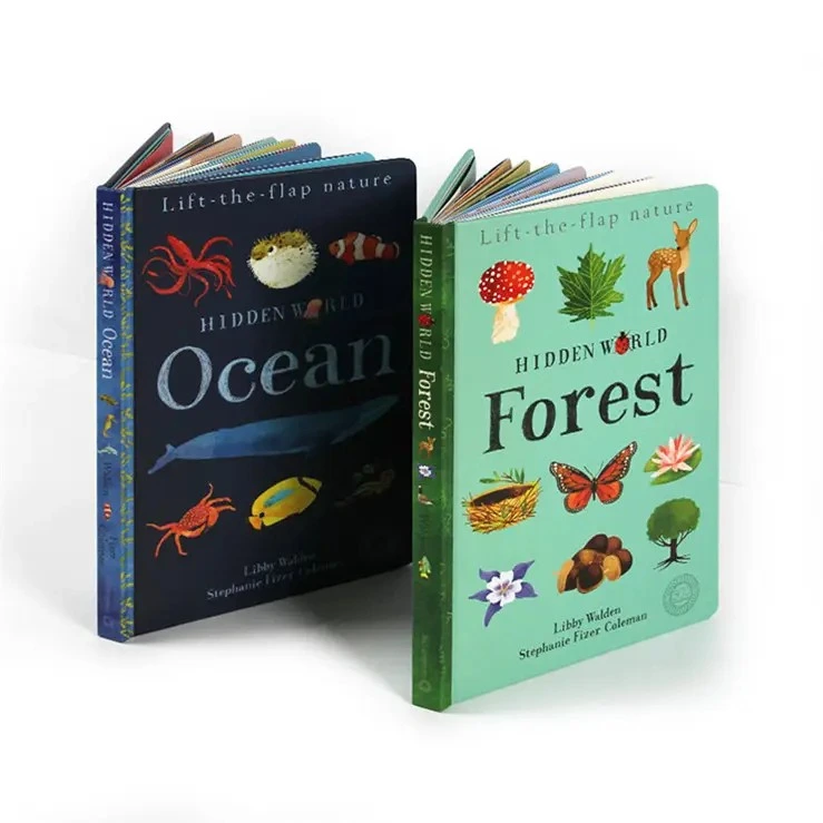 Produttore di libri illustrati per bambini con copertina rigida dal design colorato. 1