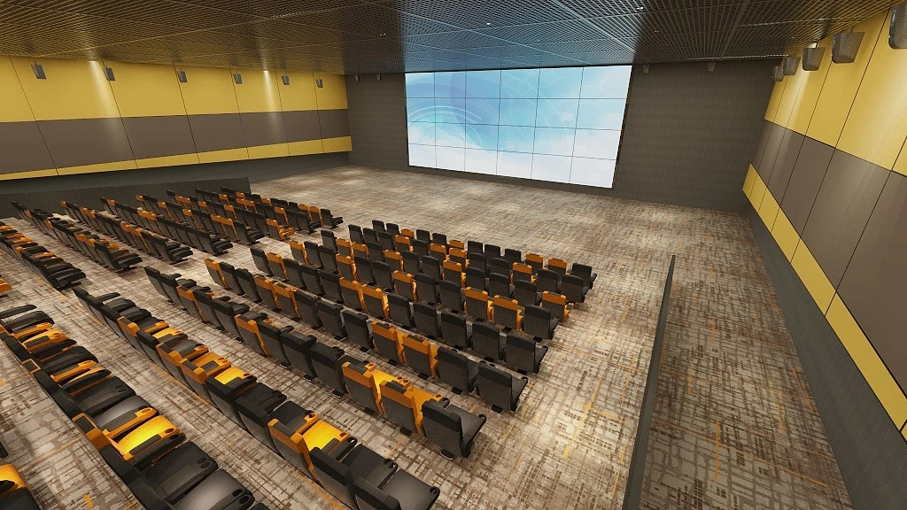 Moquette di lusso su misura in nylon e lana per home theatre, da parete a parete. 4