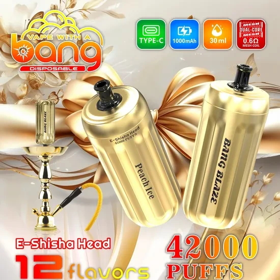 Bang Blaze 42000 Puffs E-Shisha Head Disposable Pod Electronic Cigarette Wholesale Vaper 40000 40K Puff Bar Dtl Vaping - 30000 Puff Vape and Disposable Puff Vape 1