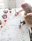 Custom Table Cloth Request Wholesale - Xiangsheng 3