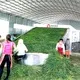 Salad Drying Machine Customizedmanufacturing 2