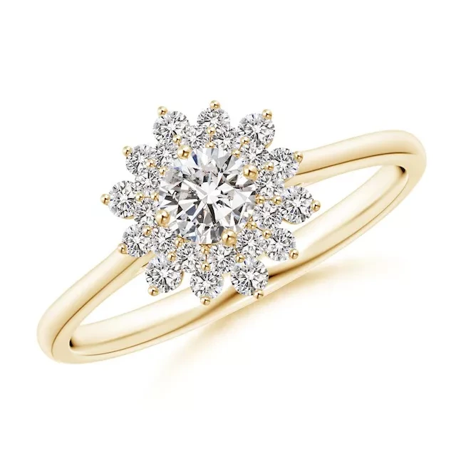 Anneau de diamant Halo Double Floral classique 10k 14K 18K Engagement Moisanite 1ct Ring pour les femmes 1