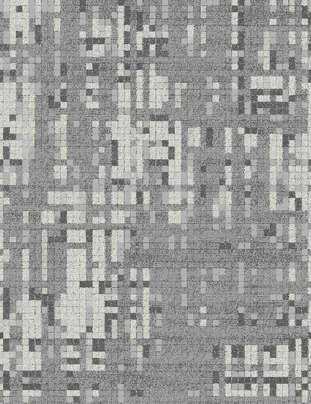 Custom Nylon Wall-to-Wall Carpet for 5-Star Hotel Lobby 5