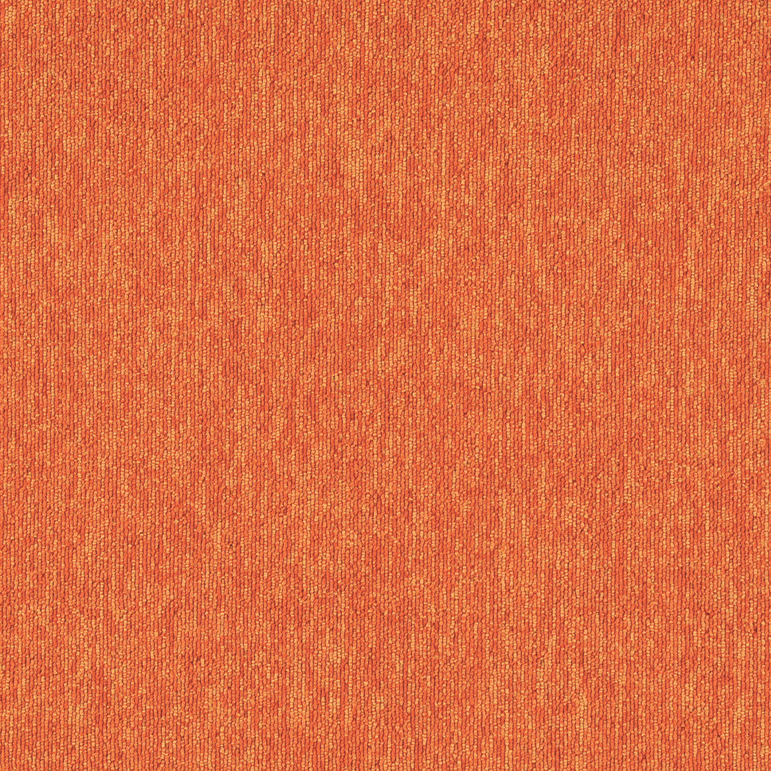 Nylon PVC Detachable Carpet Tiles for Home and Office Decor 7